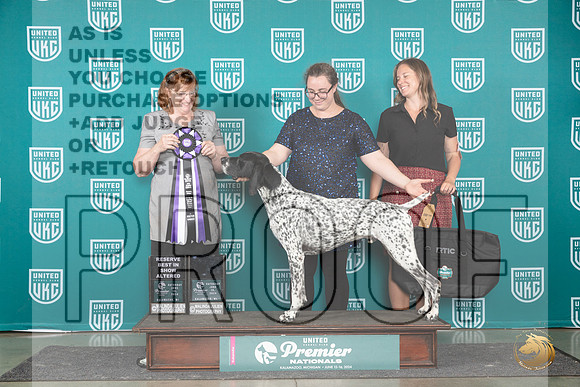 German Shorthaired Pointer #772 Sat ARBIS Judge Lori Sargent__JP_2786_Premier_2024_HR3