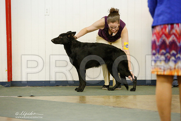 _RH_6356-DntnJun2014-HR3
