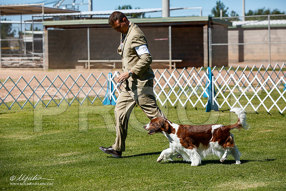_JJ_5028-AlamogordoOct2014-HR3