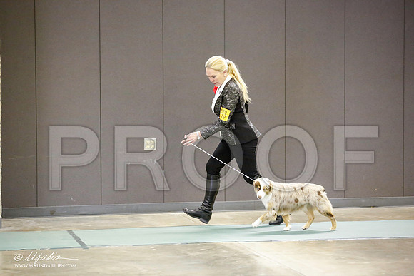 _JN_3242-BeltonJan2015-HR3