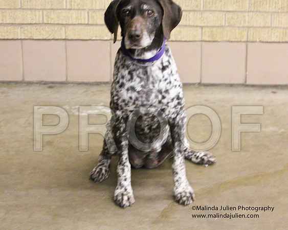 GSP-0174