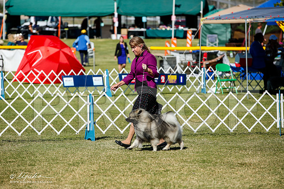 _JJ_1591-AlamogordoOct2014-HR3