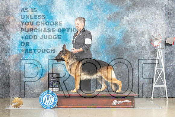 German Shepherd Dog #5 Sat OHG1 Judge Jill Warren G3 Judge Joan LIebes_MJ_4722_Amarillo_2022_HR3