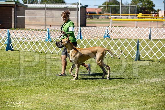 _JN_6439-AlamogordoOct2014-HR3