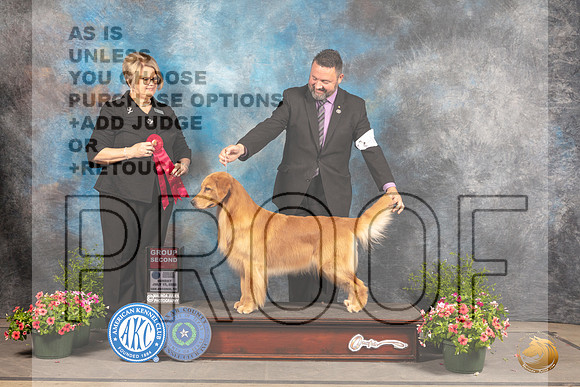 Golden Retriever #46 Sun G2 Judge Cindy Lane_MJ_1642_SA_2022_HR3
