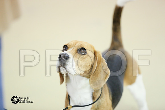 beag-0279-HtoJan2014-HR3