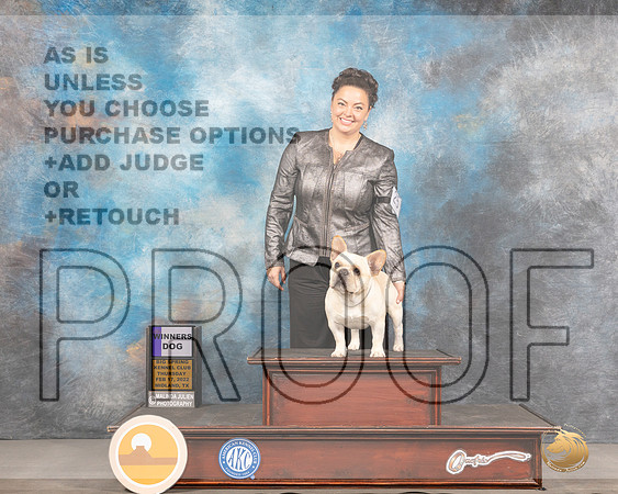 French Bulldog #25 Thurs WD Judge Barbara AldermanMMJ_2234_Mdlnd2022_HR3