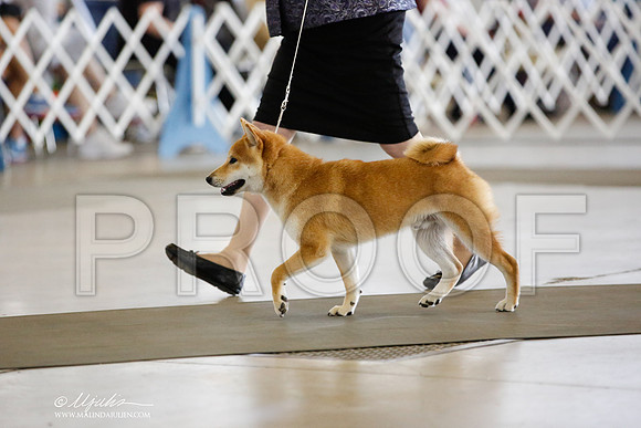 _JN_3833-DallasJul2014-HR3