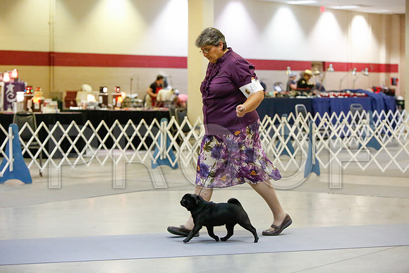 _JJ_1488-AmarilloSept2014-HR3
