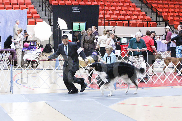 HoundGrp-6881LR