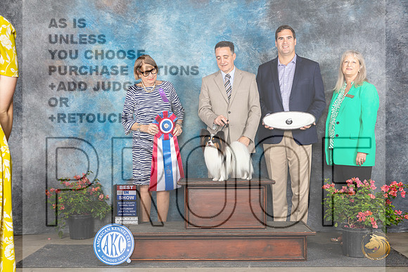 Papillion #23 Sat BIS Judge Elizabeth ‘Beth’ Sweigart__JP_5602_San Antonio_2024_HR3