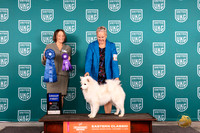 American Eskimo #138 Fri G1 Judge Tina Camp