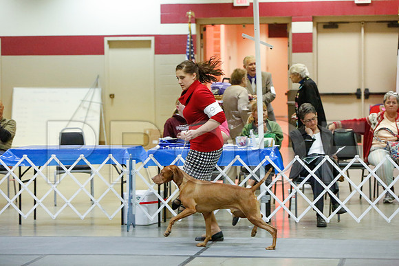 _JJ_4550-AmarilloSept2014-HR3