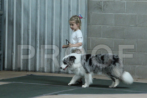AussieCCL_3369LR