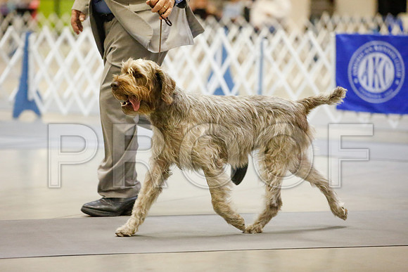 _JJ_7062-AmarilloSept2014-HR3