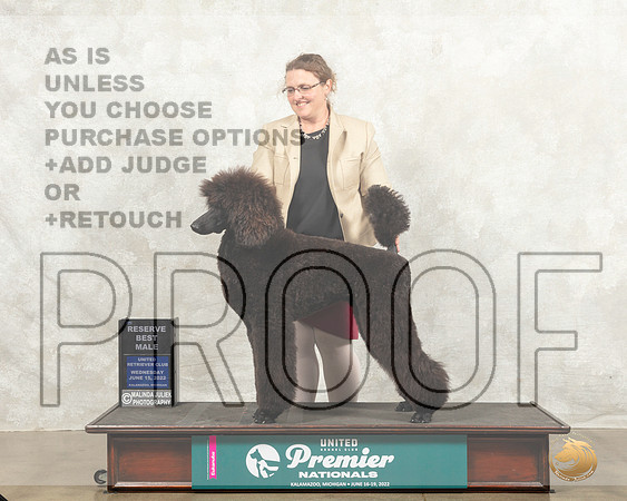 Poodle St #434 Wed RBM Judge Sharon Griffin_MMJ_6965_Premier_2022_HR3