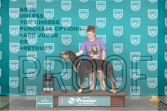 LCLD #624 Thur AOE Judge Stephanie Mueller__JP_1308_Premier_2024_HR3