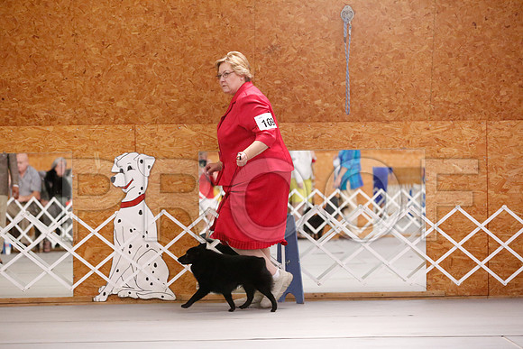 _RH_7439-CarlrolltonSept2014-HR3