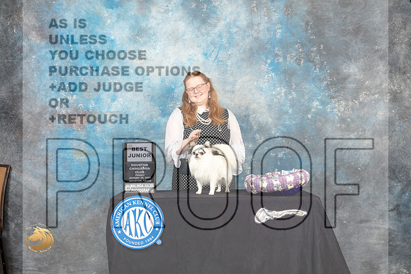 Chihuahua Long Coat #J752 Fri1 BJr Judge Carol Pyrkosz_MJ_9556_HstnTOY_2022_HR3