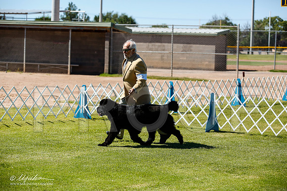 _JN_6856-AlamogordoOct2014-HR3