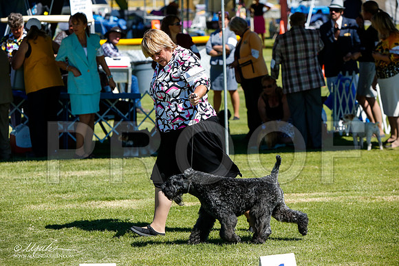 _JJ_5117-AlamogordoOct2014-HR3