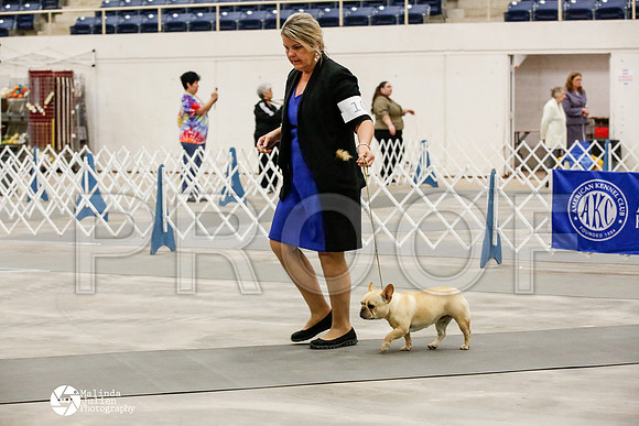 _HR_1279-AblnMay2014-web