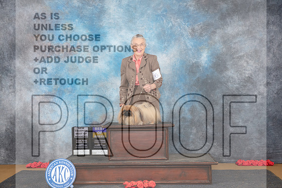 Pekeginese #6 BOBBOWWB NCH Sun Judge Pat Trotter__JP_0658_Sulphur Springs_2024_HR3