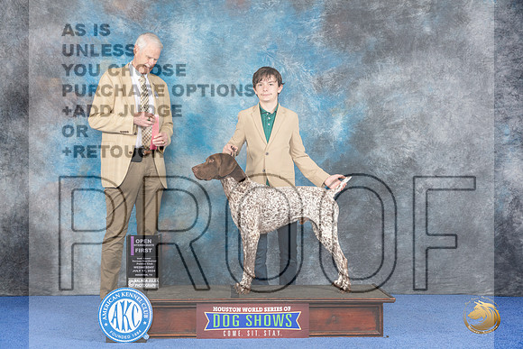 German Shorthaired Pointer #J500 Wed OPJr1 Judge Jon Cole__JP_7524_Houston_2024_HR3