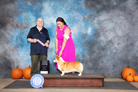 Pembroke Welsh Corgi #10 Sunnn RWB Judge Ray Filburn