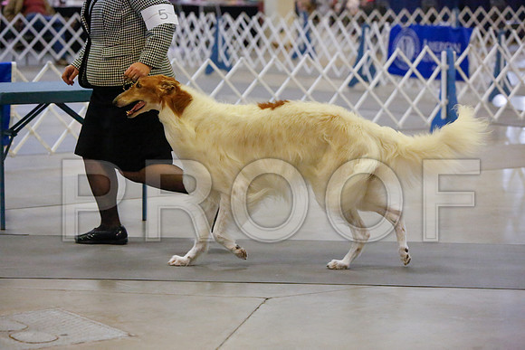 _JJ_3784-AmarilloSept2014-HR3