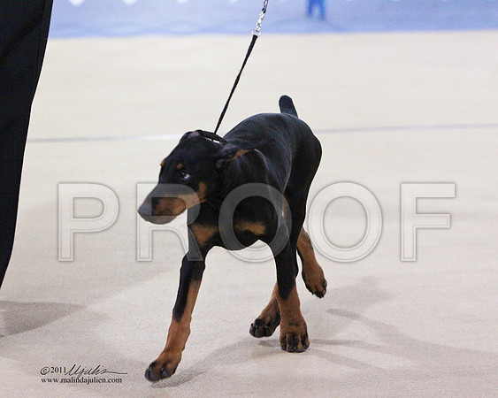 Dobe-5110LR