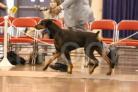Dobe-8932 PROOF