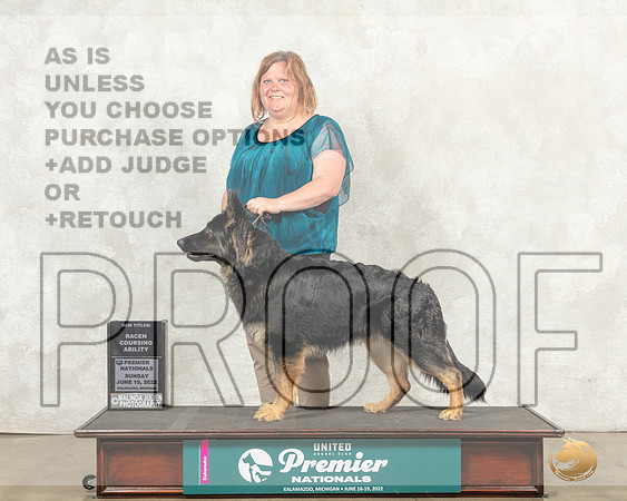 German Shepherd Dog #1143 Sun RACEN CA__MJ_8960_Premier_2022_HR3