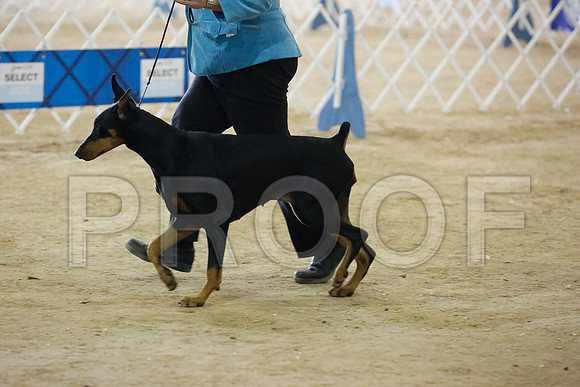 dobe-7491-HstnNov13-HR