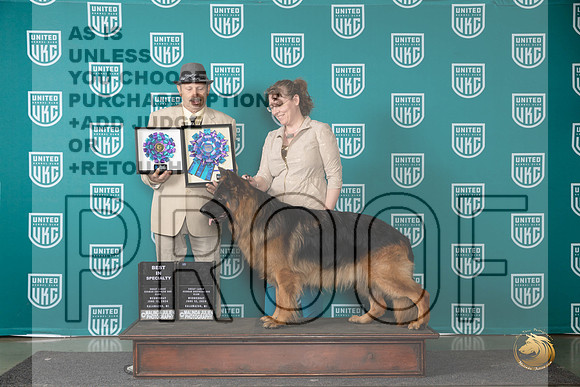 German Shepherd Dog #109 Wed BISS Judge Joseph Gudry__JP_0460_Premier_2024_HR3