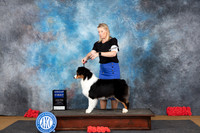 Australian Shepherd #10  Sat G1 Judge Pat Trotter