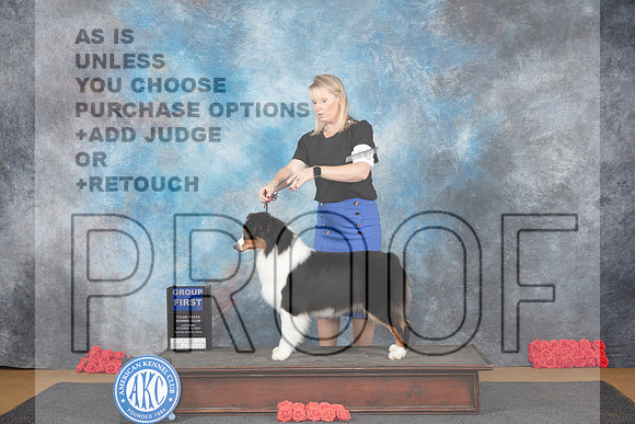 Australian Shepherd #10 Sat G1 Judge Pat Trotter__JP_0137_Sulphur Springs_2024_HR3