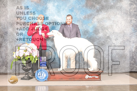Borzoi #11 Sun WD Judge Jeff BazellBorzoi #11 Sun WD Judge Jeff Bazell_MJ_7733_Houston_2022_HR3_Houston_2022_HR3