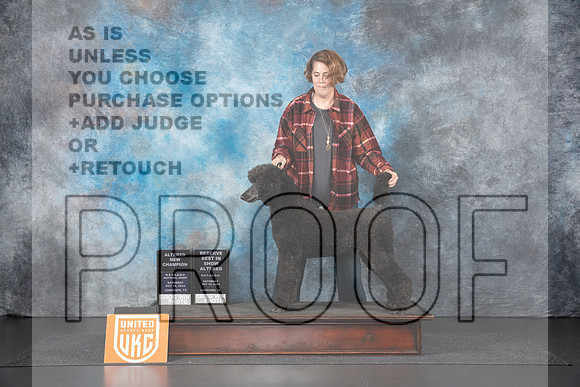 Poodle Std #218 Sat ALT BIS Judge Nancy Gallant__JP_1268_UKCLNGVIEWOCT2024_2024_HR3