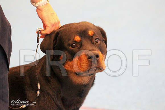 Rott-9595LR