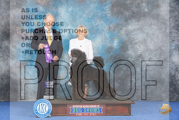 Poodle Standard #32 WED WBM Judge James Moses__JP_7384_Houston_2024_HR3