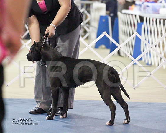 APBT-9641