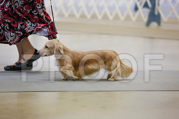 _JJ_2865-AmarilloSept2014-HR3