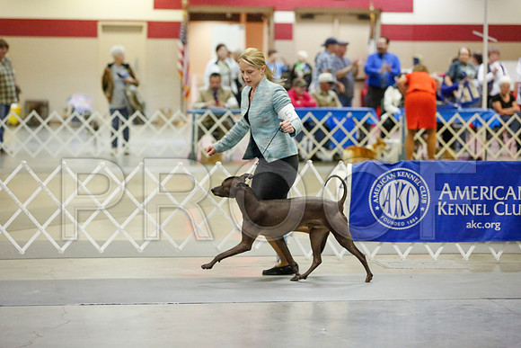 _JJ_8151-AmarilloSept2014-HR3