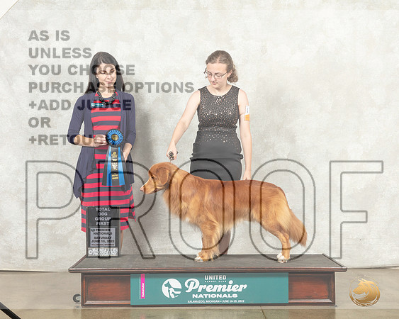 Nova Scotia Duck Tolling Retriever #178 G1 Judge Diana Brumbaugh__MJ_9216_Premier_2022_HR3