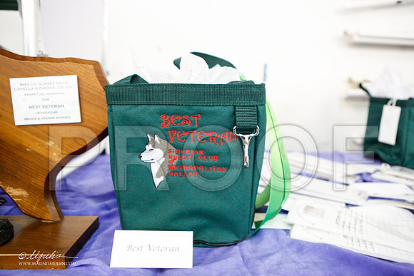_ST_4157-AddisonHuskyMar2015-HR3