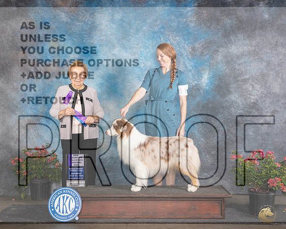 Australian Shepherd #11 Sat WDMCH Judge Polly (Mrs Robert) D Smith__JP_5339e_San Antonio_2024-HR3.jpg