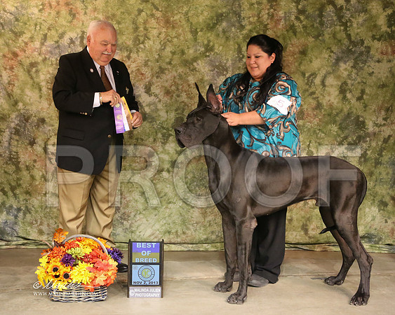 Dane-6798-SANov13-HR
