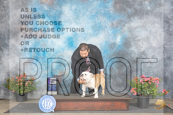 Bulldog #7 Sat WD Judge Victor Rosado__JP_4842_San Antonio_2024_HR3