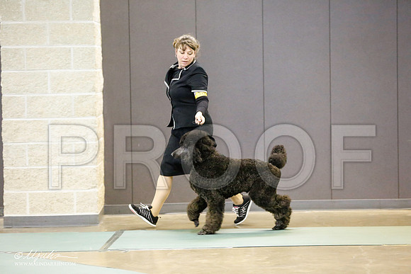_RH_9651-BeltonJan2015-HR3